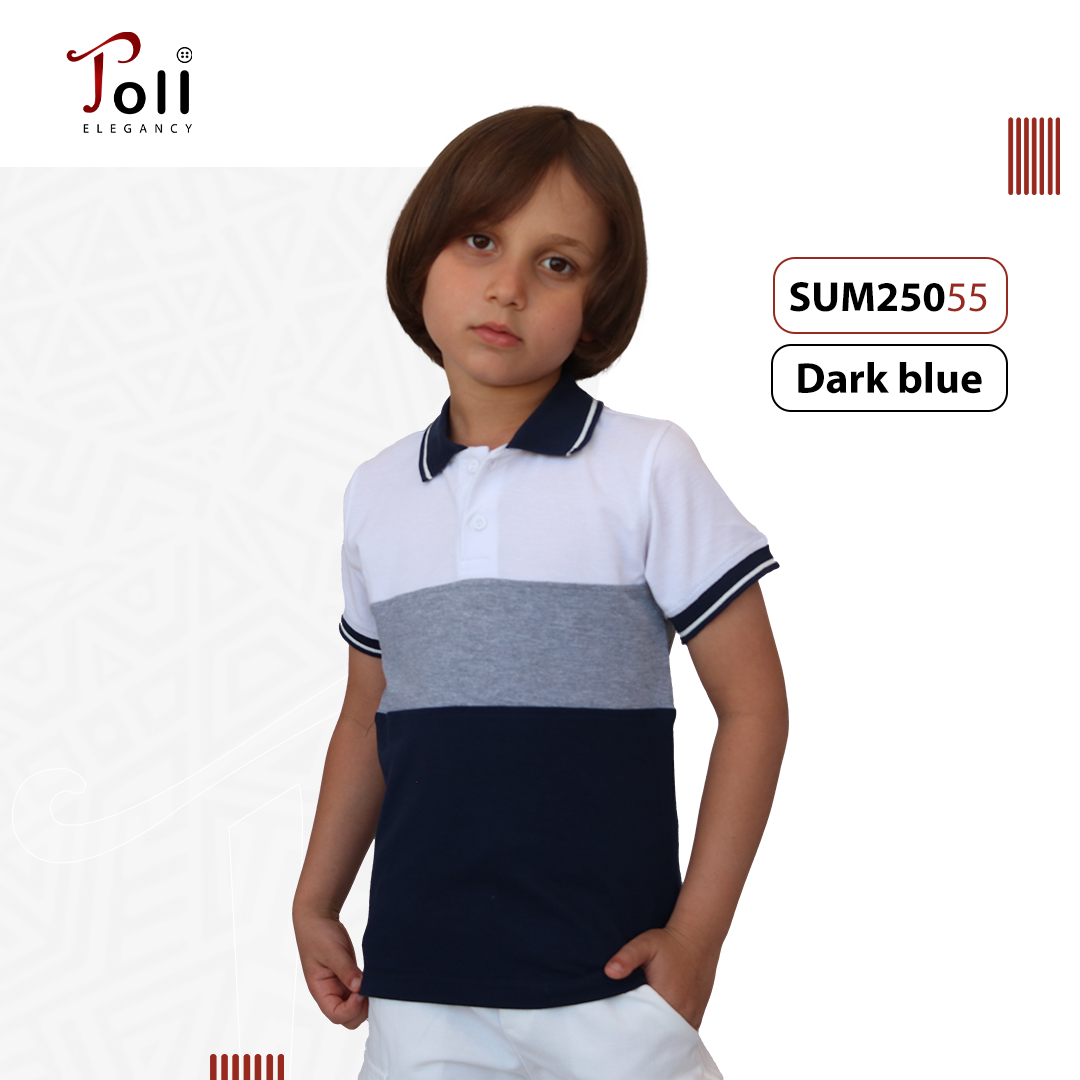 Boys Cotton Polo T-Shirt – Solid & Colorblock Designs – 1 Piece