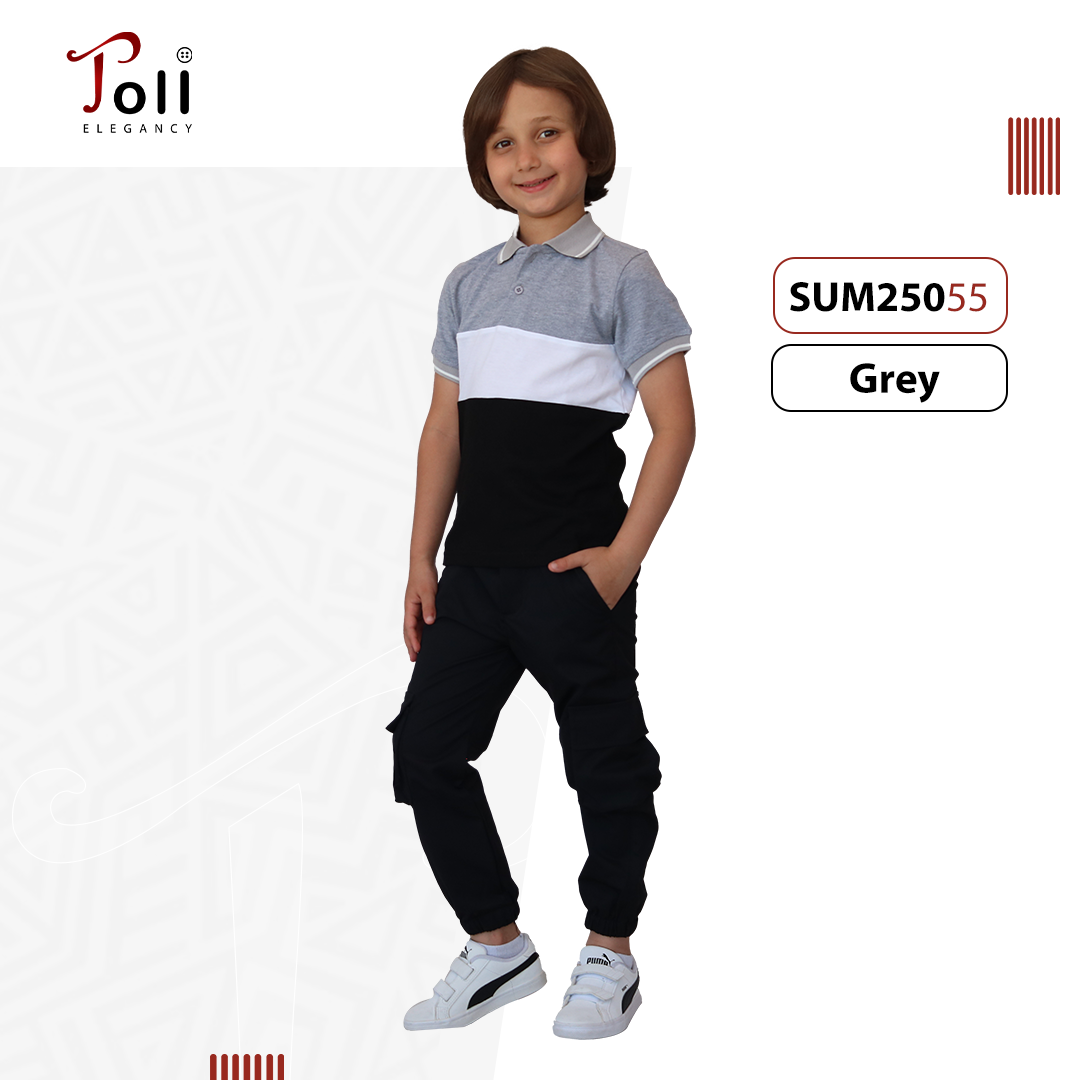 Boys Cotton Polo T-Shirt – Solid & Colorblock Designs – 1 Piece