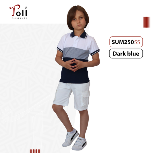 Boys Cotton Polo T-Shirt – Solid & Colorblock Designs – 1 Piece