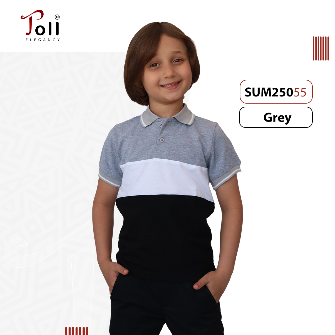 Boys Cotton Polo T-Shirt – Solid & Colorblock Designs – 1 Piece